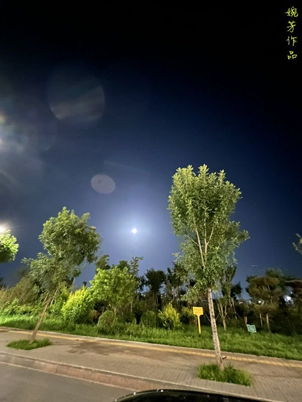 明月别枝惊鹊，清风半夜鸣蝉。七夕情人节快乐呀，宝贝们!